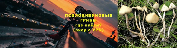 стафф Абдулино