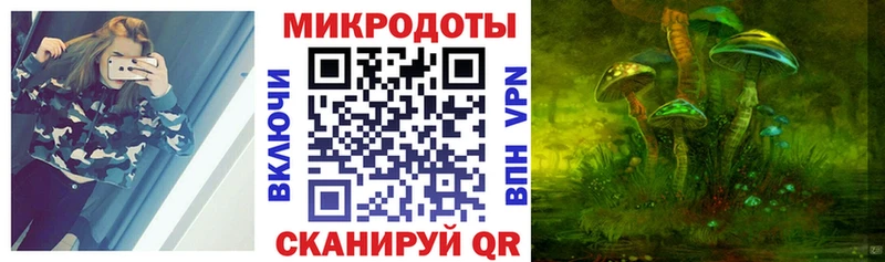 ОМГ ОМГ ONION  Красный Сулин  Галлюциногенные грибы Psilocybine cubensis 