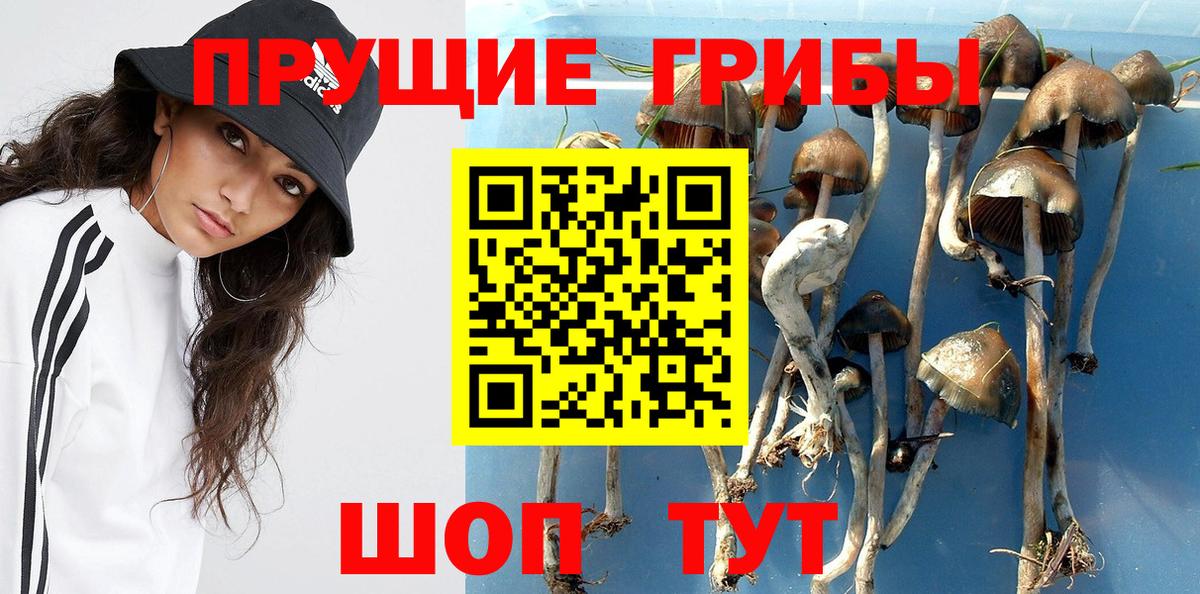 Псилоцибиновые грибы мухоморы  Вход с VPN  Красный Сулин 