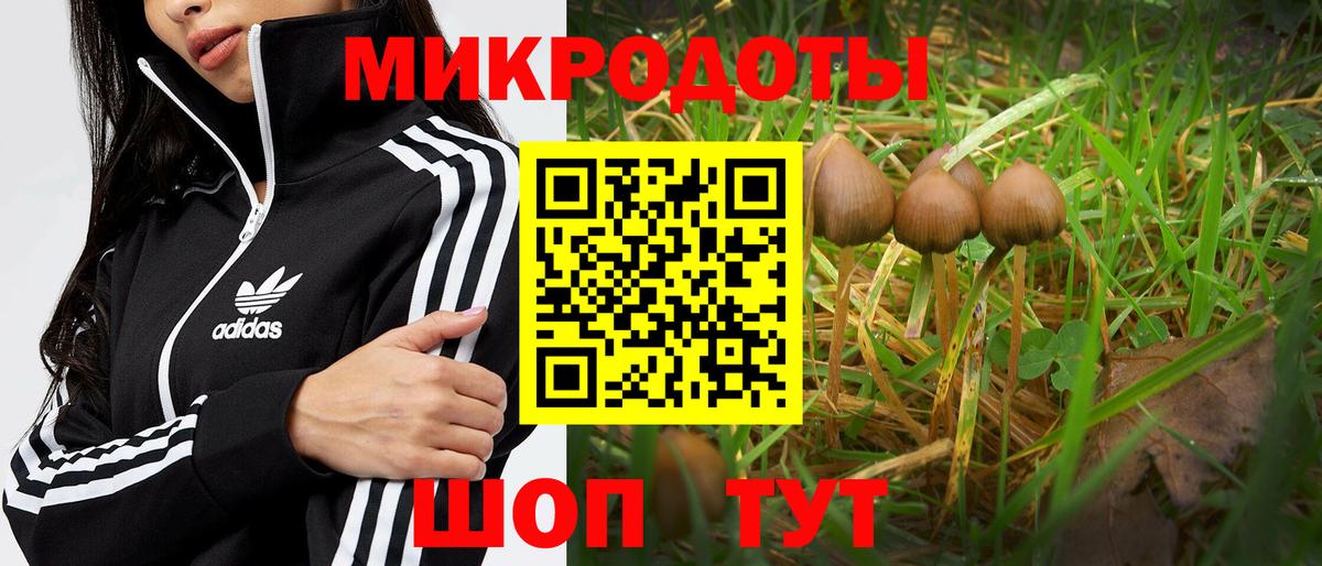 Псилоцибиновые грибы мухоморы Красный Сулин